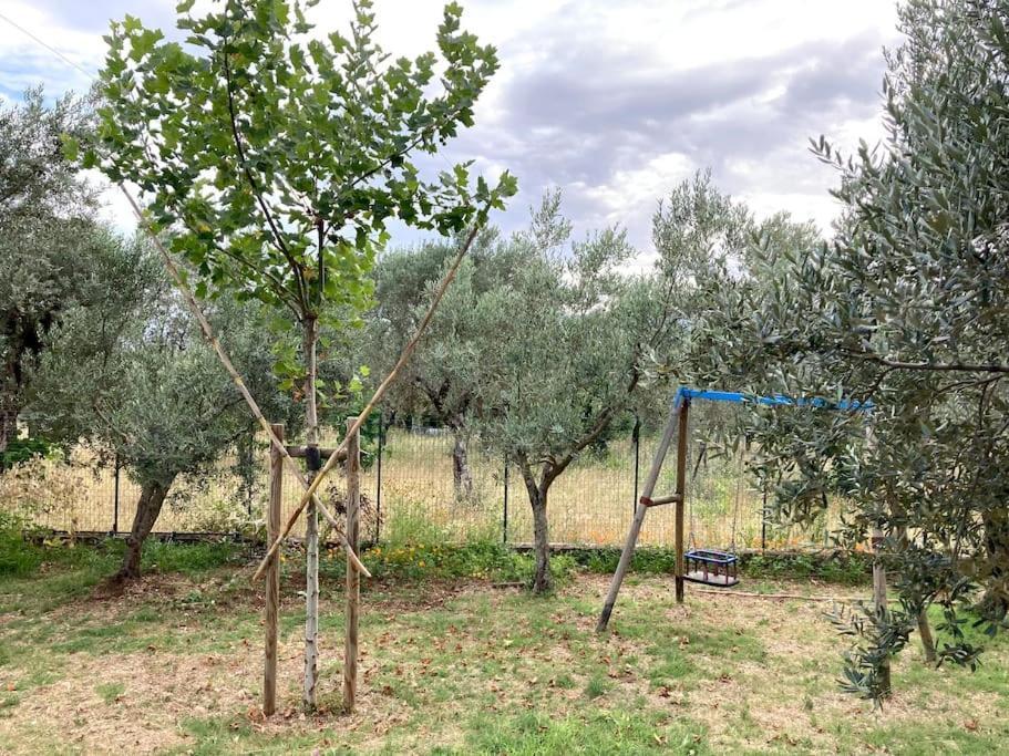 Casa Sisu-Appartamento Immerso Negli Ulivi SantʼElia Fiumerapido Eksteriør bilde