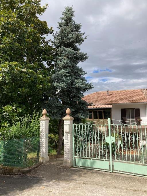 Casa Sisu-Appartamento Immerso Negli Ulivi SantʼElia Fiumerapido Eksteriør bilde