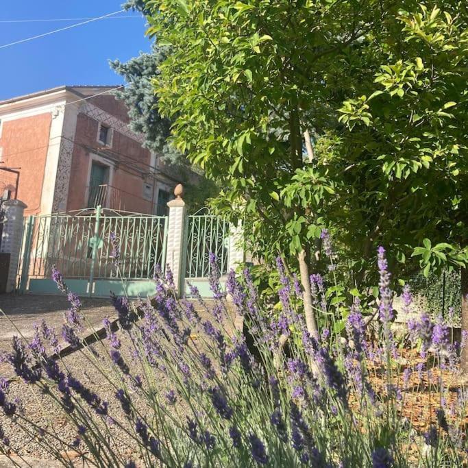 Casa Sisu-Appartamento Immerso Negli Ulivi SantʼElia Fiumerapido Eksteriør bilde